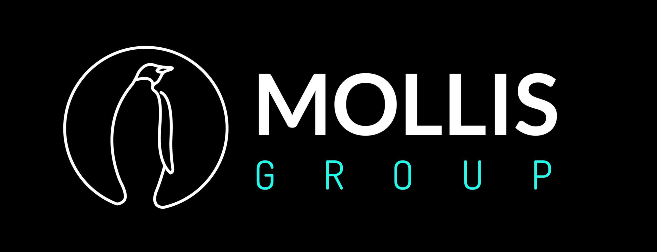 Mollis Group